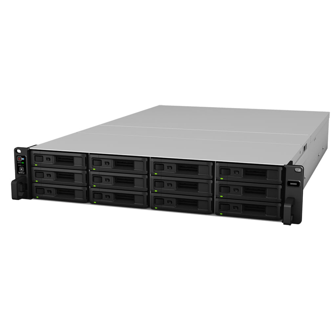 Synology RackStation RX1217RP 12x LFF Storage