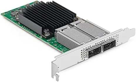 Dell Mellanox CX556M ConnectX-5 EDR 2x 100GBs PCIe