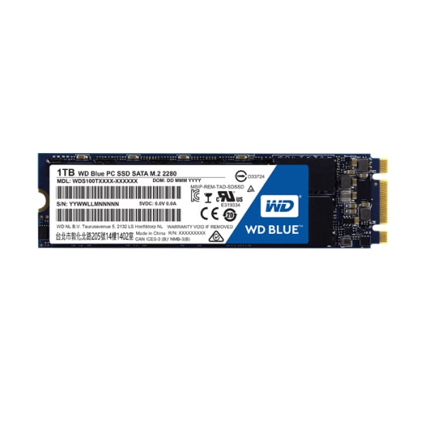 WD Blue SA510 1TB  M.2 - P/N: WDS100T3B0B 1